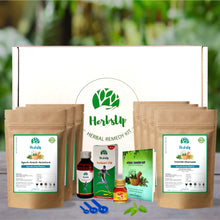 Load image into Gallery viewer, Herbal Remedy Kit