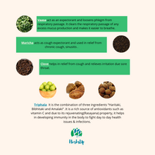 Load image into Gallery viewer, HerbsUp Swasaraksha Benefits